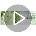 21" Real Touch Hydrangea Artificial Flowers - 3 Pcs Latex Faux Floral Arrangements for Home Decor, Weddings, and Parties