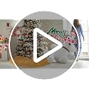 Gold Sequin Velvet Mini Christmas Tree Skirt - 24 Inch Xmas Tree Mat