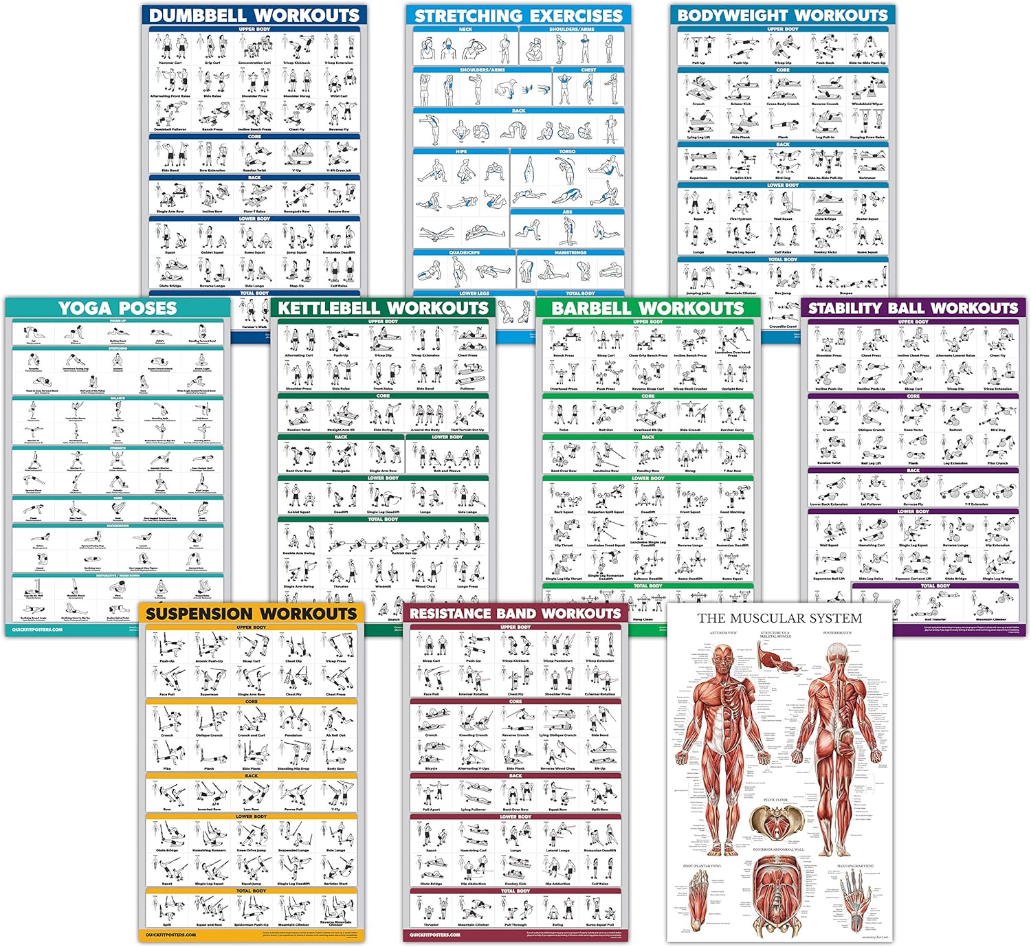 Skiennix Exercise Workout Poster Set - 10 Pack Laminated Fitness Charts | 18" x 24" Size