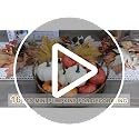 16-Piece Artificial Mini Pumpkin Set with Fall Leaves for Autumn Home Decor