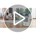 Home Dehumidifier for Basement 34 Pint 2500 Sq Ft with Drain Hose