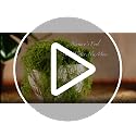 Artificial Decorative Moss for Terrariums, Fairy Gardens & DIY Crafts