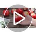 6 Pcs Artificial Red Apples - Realistic Faux Fruit for Home Decor