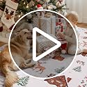 LIVEBOX 5x7 Christmas Washable Area Rug Red Scalloped Reindeer Snow Scene