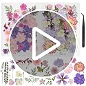 50-Piece Real Dried Pressed Flowers Kit with Tweezers for Resin Crafting