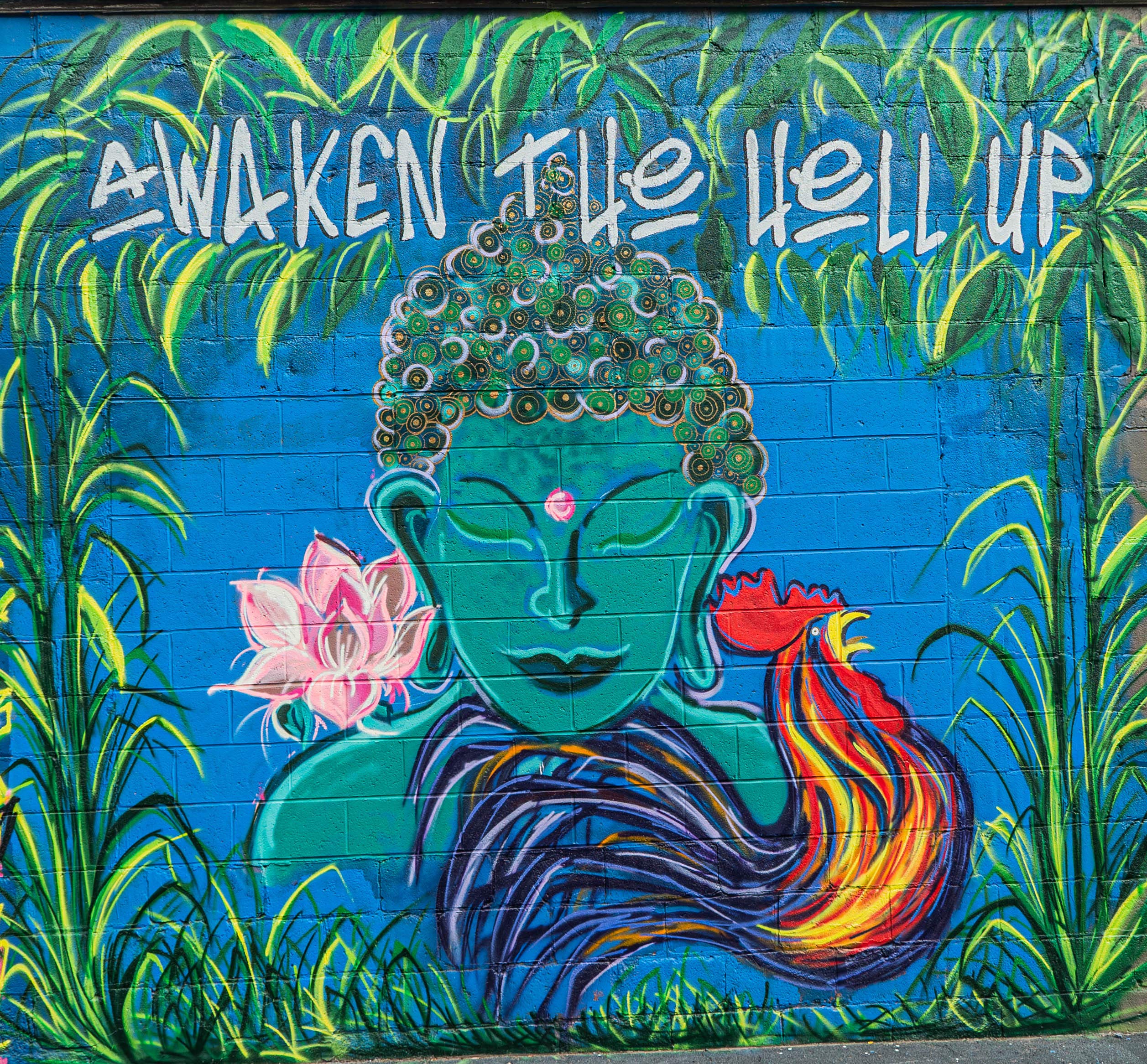 Wake The Hell Up! 12oz Ultra-Caffeinated Ground Coffee, Low Acid, Medium-Dark Roast