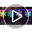 RGB 12-Inch Snowflake Window Lights - 2 Pack with Remote & 61 Effects