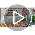 20 Bundles Fuchsia Artificial Flowers with Eucalyptus Leaves
