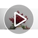 LLZLL Red Artificial Holly Berry Stems 6.5 Inch Christmas Tree Decorations, Pack of 32