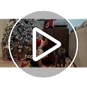 Uphome Christmas Bow Red Scalloped Bathroom Rug 22x36 - Non Slip Holiday Bath Mat