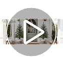 Waipfaru 3-5 ft Pre-Lit Cedar Christmas Tree Set of 3 - Realistic Mini Artificial Trees with 9 Light Modes