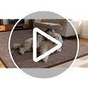 4x6 Memory Foam Area Rug, Soft Washable Non-Slip Bedroom & Living Room Carpet