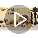 23-Piece Fall Pumpkin Decor Set | Acorns, Pinecones & Leaves