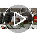 Yinder 4 Pcs Polar Bear Christmas Ornament Plush with Scarf - Lovely Style (Variation: 4 / Lovely Style)