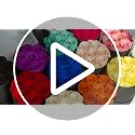 7 Piece Preserved Royal Blue Roses in a Box - Long-Lasting Floral Gift