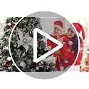 BSTDECOR 52-Pack Black Christmas Tree Ornaments with Star Topper - Shatterproof Holiday Decor
