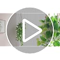 Artificial Hanging Pothos Plant with Macrame Hanger & Pot for Indoor Decor