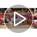 Boao 24 Pcs Red and Silver Artificial Christmas Poinsettia Flowers - Holiday Decor
