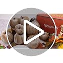 8 Pcs Assorted Velvet Artificial Pumpkins, Champagne Fall Harvest Decor