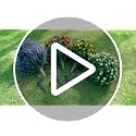 2-Pack 24-Inch Artificial Topiary Ball Trees with Ground Spikes, Purple