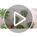 5-Inch Artificial Sage Potted Plant, Small Faux Greenery for Home Decor