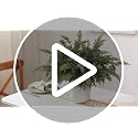 12 Pcs 18-Inch Artificial Cedar Branches for Vase & Holiday Decor - Lifelike Touch, Christmas Home Decoration