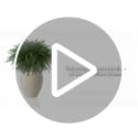 DR.DUDU 18-inch Norfolk Pine Stems - 16 Pack Artificial Holiday Greenery for Christmas Decor