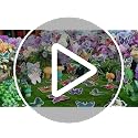 40 Butterfly Window Stickers - Bird Strike Prevention Clings