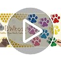 100Pcs Glitter Paw Print Paper Cutouts for Pet Themed Party Decorations