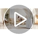 34 Pints Home Dehumidifier for Basement with Drain Hose & Smart Modes