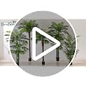 6FT Tall Artificial Areca Palm Trees - UV Resistant Faux Plants (2 Pack)
