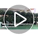35-Inch Artificial Double Ball Boxwood Topiary Trees, 2-Pack UV Resistant