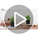 2 Pack Small Artificial Plants with Black Pots for Modern Home Decor