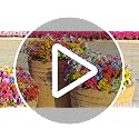 UV Resistant Outdoor Artificial Flowers - 13 Bundles Silk Faux Plants