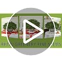 RHTRJ 6 Pcs Christmas Greenery Stems with Pinecones, Realistic Artificial Pine Branches for Wreaths, Garlands & Vase Decor
