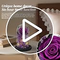 Preserved Purple Rose in Glass Dome with LED Lights, Romantic Gift for Her