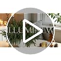 ILLUMINEW 16norfolk Pine | 18-Inch Artificial Christmas Norfolk Pine Stems for Holiday Decor