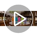 12 Pack 16oz Plastic Hurricane Glasses for Tropical Cocktails & Parties