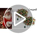 2 Pack Pre-lit Christmas Tree Urn Filler with Lights & Timer, Outdoor Artificial Pine Decor