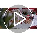 Light-Up Christmas Gingerbread Man Figurine - Resin Holiday Table Decor