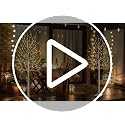 2-Pack 6-Foot Lighted Birch Trees with 160 Warm White LEDs - Indoor & Outdoor Holiday Decor