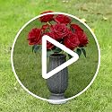 10-Inch Cemetery Vase with Metal Spike and Drainage Hole for Grave Memorials