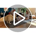 OLANLY Soft Fluffy Shaggy Area Rug 4x5.9 ft Machine Washable Grey