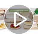 350 Pcs Nature Eco-Friendly Disposable Dinnerware Set for 50: 10in & 7in Plates, 8oz Cups, 6.6in Napkins + Utensils