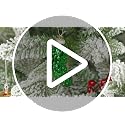 KYCENTA Large German Pickle Ornament - Blown Glass Christmas Pickle for Tree