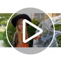 Super Stretch Halloween Spider Web Decorations with 30 Fake Spiders