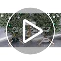 Heavy-Duty Metal Christmas Tree Stand for Real Trees up to 8 Feet