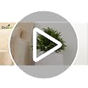 24.5-Inch Artificial Cedar Topiary Trees, UV-Resistant Outdoor Shrubs (2 Pack)