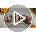 Highland Cattle Kitchen Towels - Set of 6 Farmhouse Floral Dishcloths