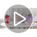 Preserved Rose Bouquet in Glass Dome with LED Lights, Eternal Floral Gift